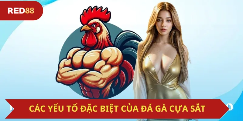 Các Yếu Tố Đặc Biệt Của Đá Gà Cựa Sắt