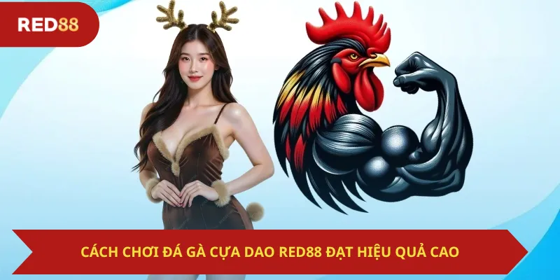 Cách Chơi Đá Gà Cựa Dao Red88 Đạt Hiệu Quả Cao