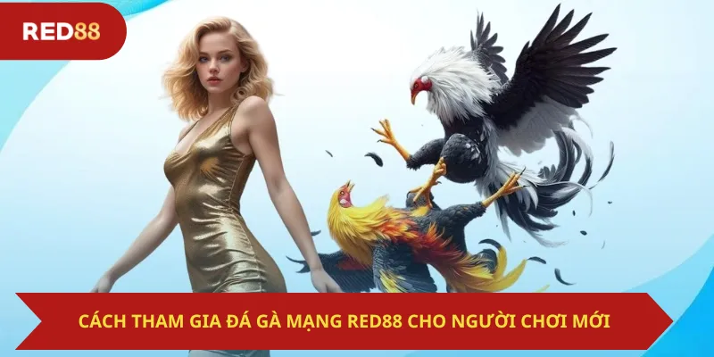 Cách Tham Gia Đá Gà Mạng Red88 Cho Người Chơi Mới