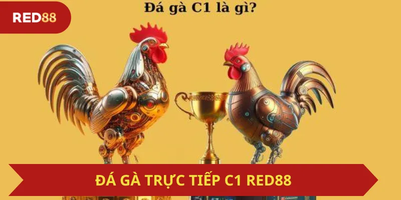 Đá Gà Trực Tiếp C1 Red88