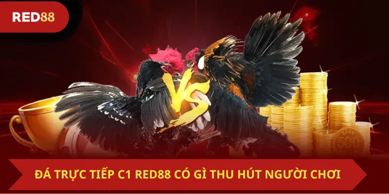 Đá Trực Tiếp C1 Red88 Có Gì Thu Hút Người Chơi