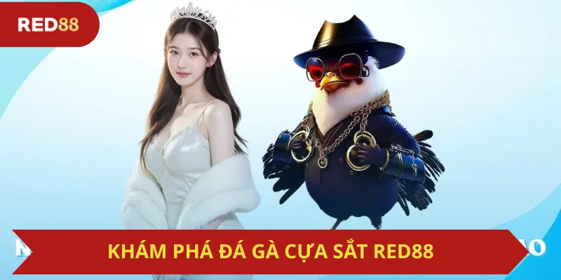 Khám Phá Đá Gà Cựa Sắt Red88