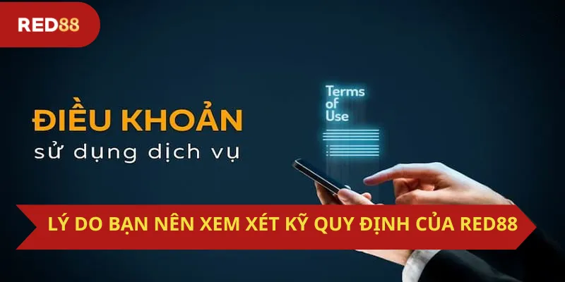 Lý do bạn nên xem xét kỹ quy định của Red88