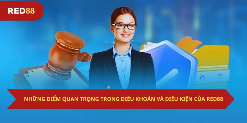 Những điểm quan trọng trong điều khoản và điều kiện của Red88